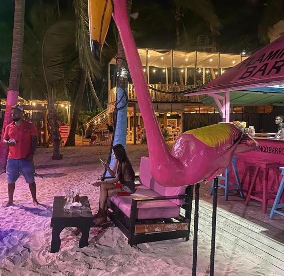 Sol Caribe Pc   Ducassi Rooftop Pool