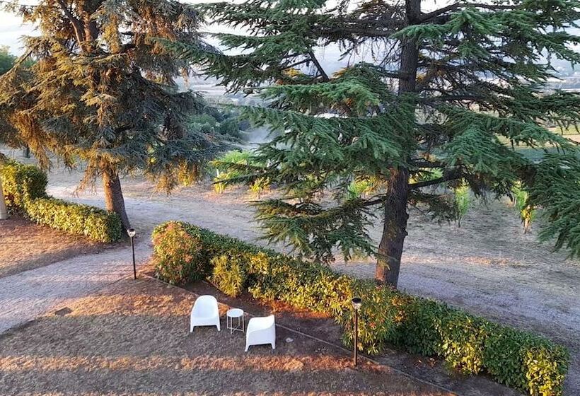 Glamping At An Agriturismo In The Vineyard