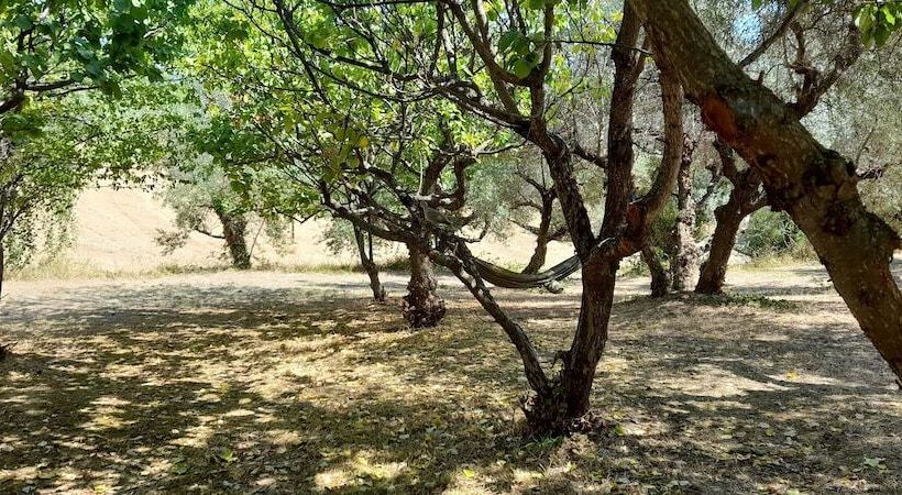 Glamping At An Agriturismo In The Vineyard