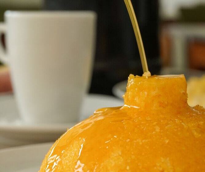 فندق فئة نجمة واحدة Pousada Jardins Tropical