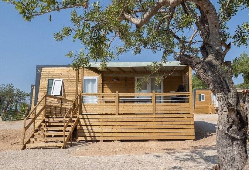 Отель Camping L Orangeraie