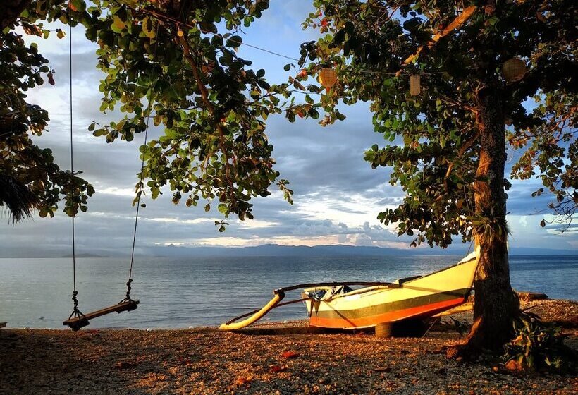 Отель Carolina Del Mar