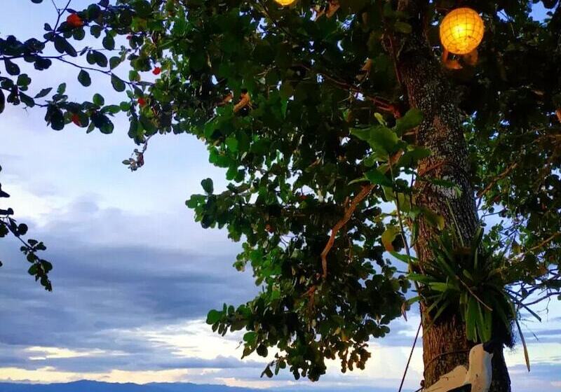 ホテル Carolina Del Mar