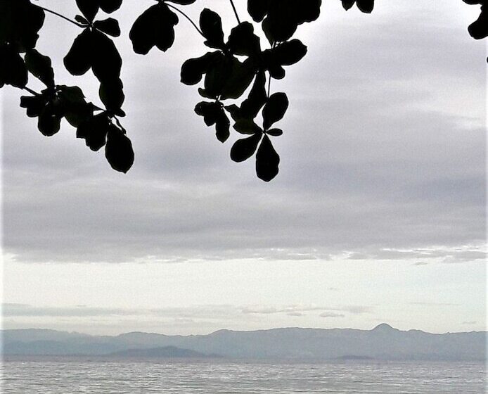 ホテル Carolina Del Mar