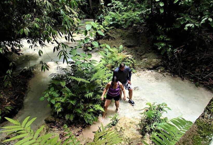 Отель Carolina Del Mar