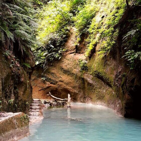 Отель Carolina Del Mar