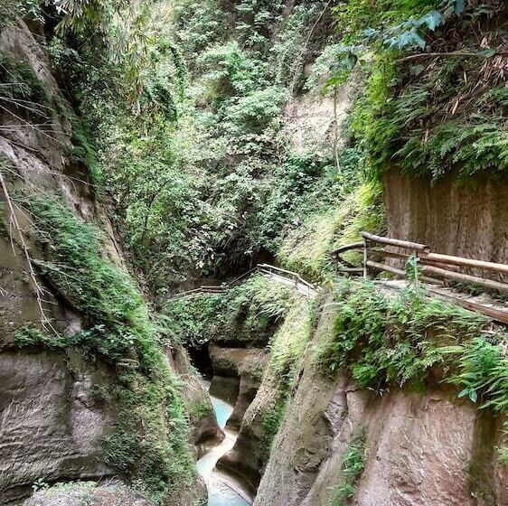 Отель Carolina Del Mar