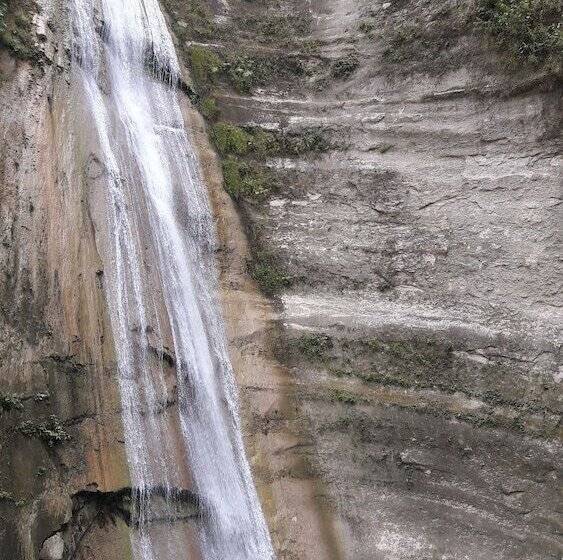 ホテル Carolina Del Mar