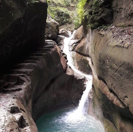 ホテル Carolina Del Mar