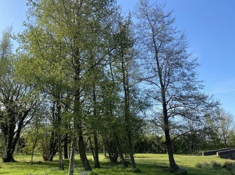 Отель Heywood Glamping