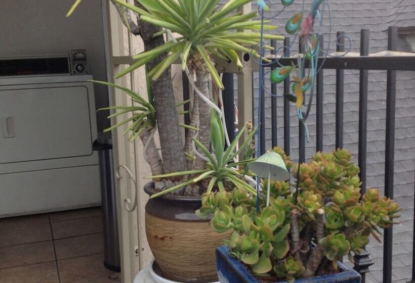 فندق Historic City View   Suites