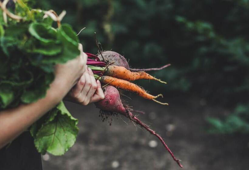 هتل Posada Del Valle