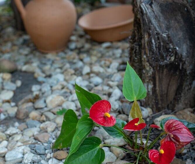 Отель Pousada Do Atobá