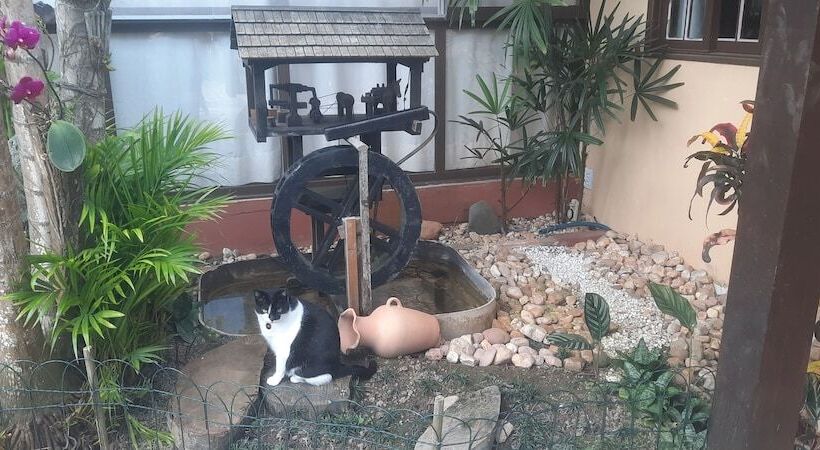 Отель Pousada Do Atobá