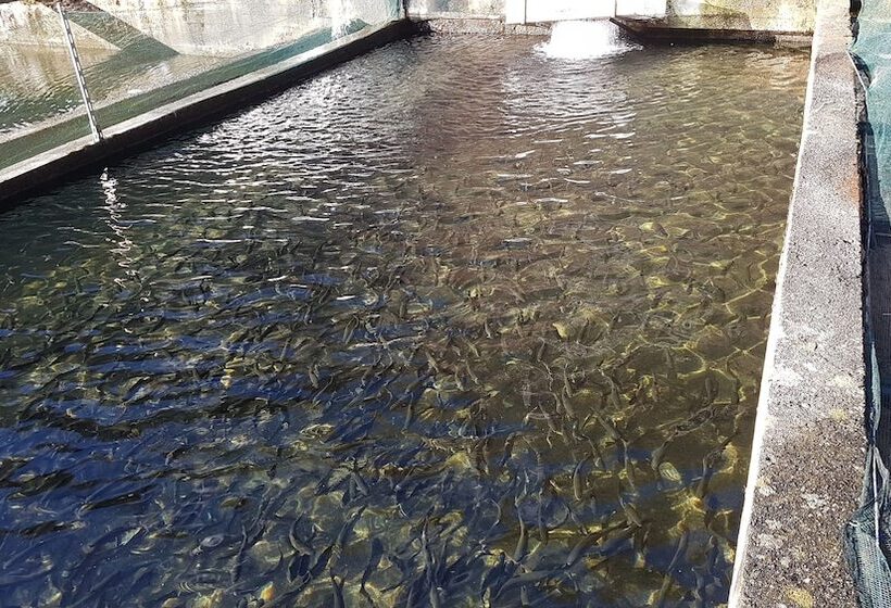 בית מלון כפרי Agriturismo La Vecchia Chioderia