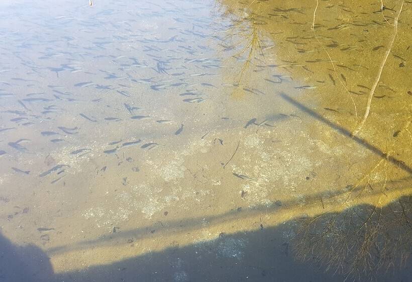 בית מלון כפרי Agriturismo La Vecchia Chioderia