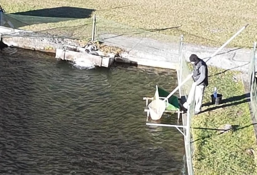 فندق ريفى Agriturismo La Vecchia Chioderia