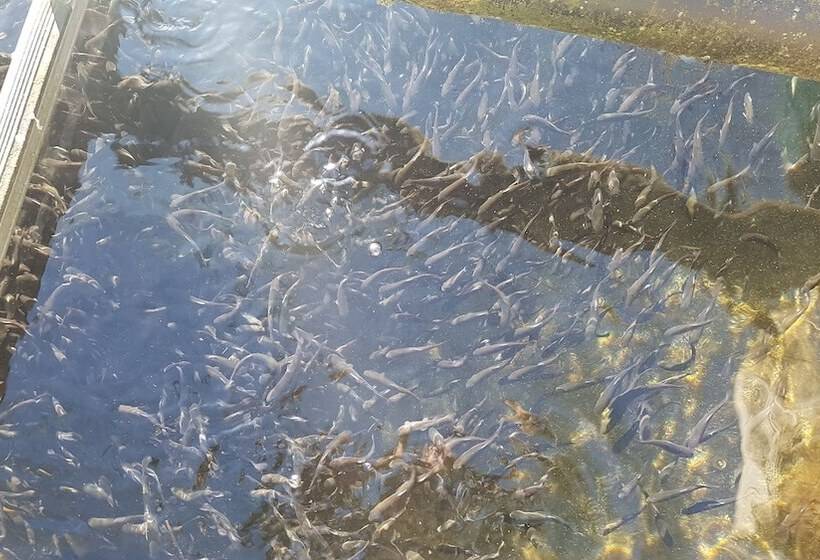 בית מלון כפרי Agriturismo La Vecchia Chioderia