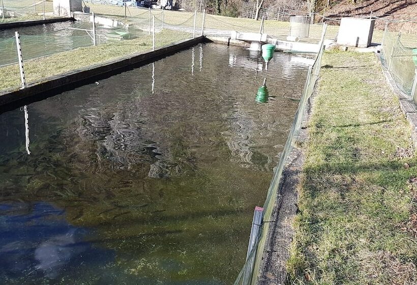 בית מלון כפרי Agriturismo La Vecchia Chioderia