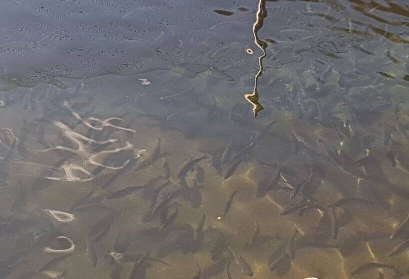 בית מלון כפרי Agriturismo La Vecchia Chioderia