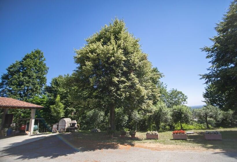 בית מלון כפרי Agriturismo Turina