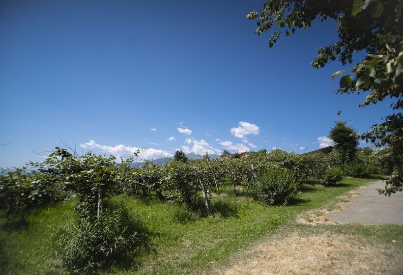 בית מלון כפרי Agriturismo Turina