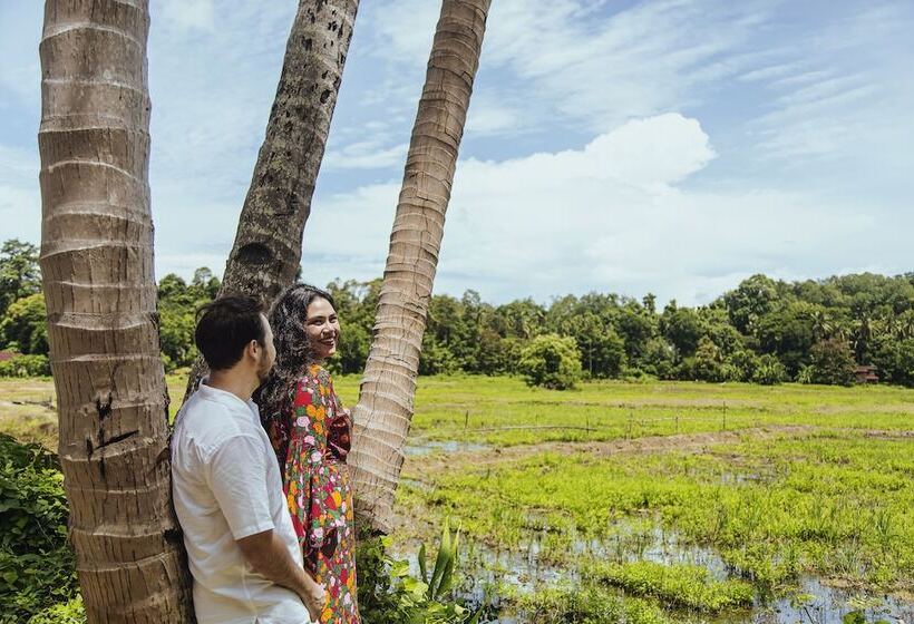 هتل S Ekar Pinang Langkawi