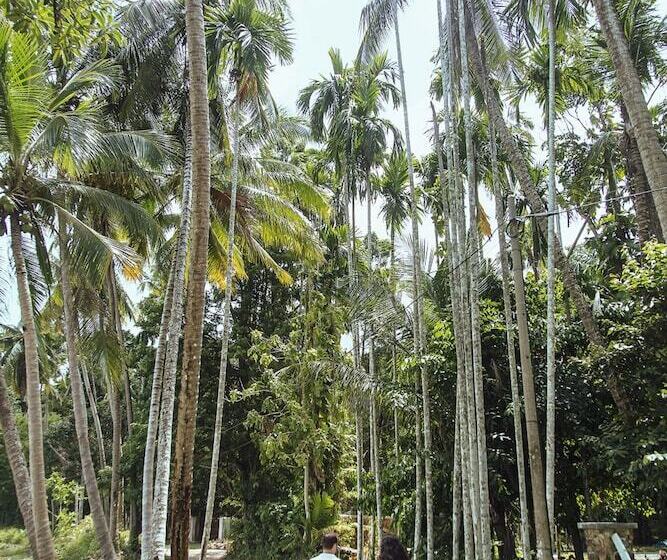 Отель S Ekar Pinang Langkawi