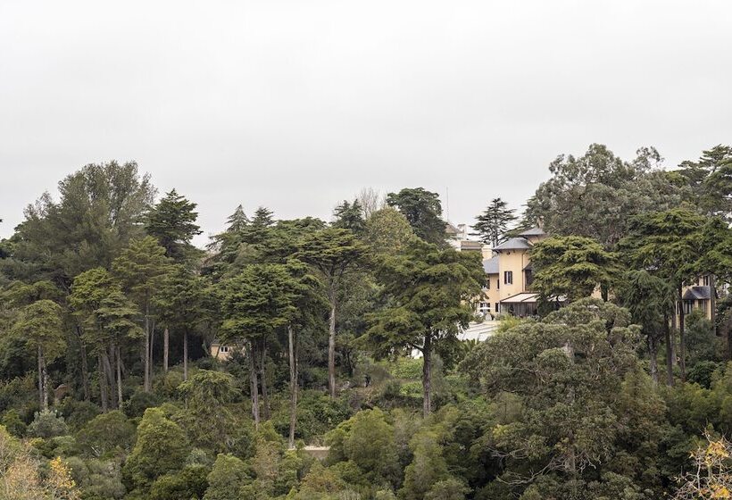 هتل Sintra Marmoris Camelia