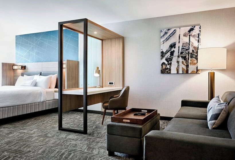 فندق Springhill Suites By Marriott Jacksonville Baymeadows