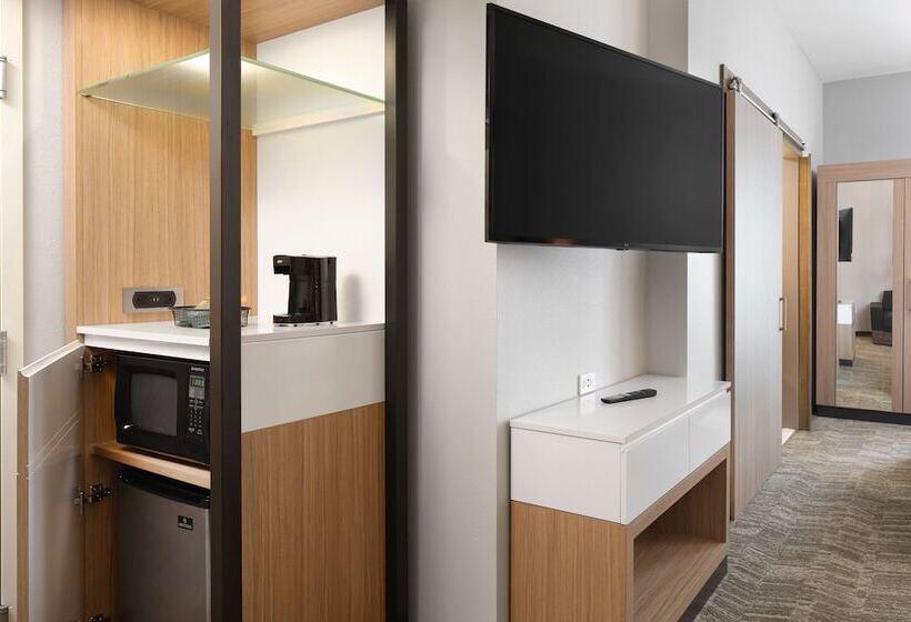 فندق Springhill Suites By Marriott Jacksonville Baymeadows