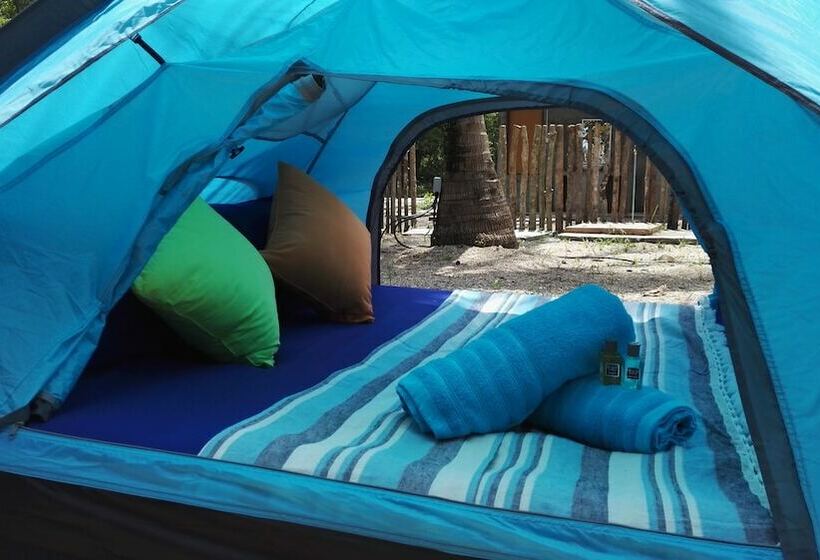 ホテル Tropical Eco Camping
