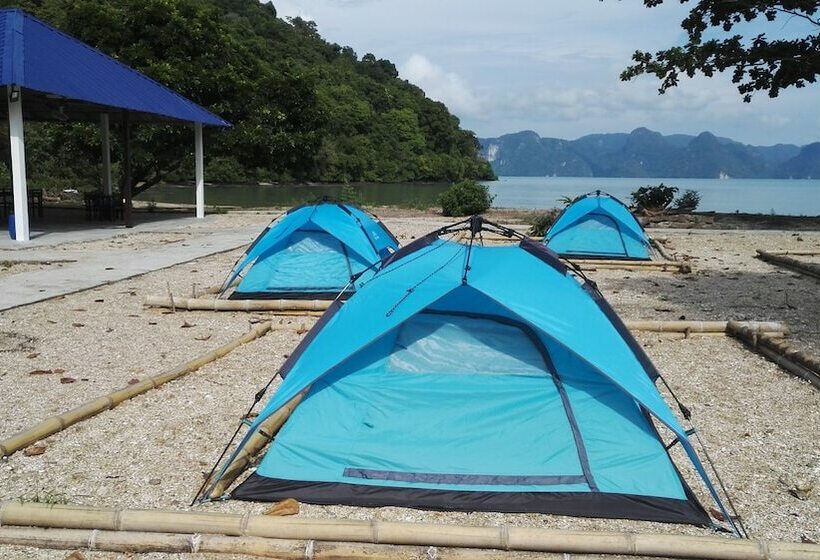 ホテル Tropical Eco Camping