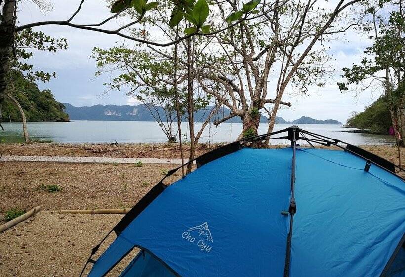ホテル Tropical Eco Camping