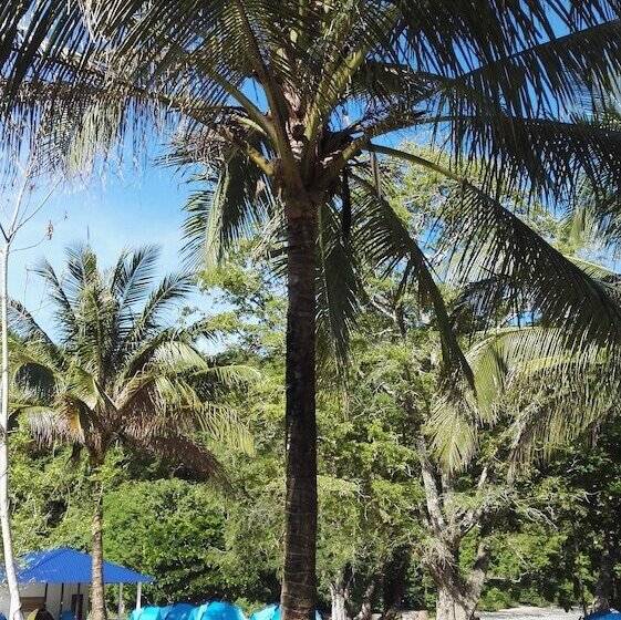 ホテル Tropical Eco Camping