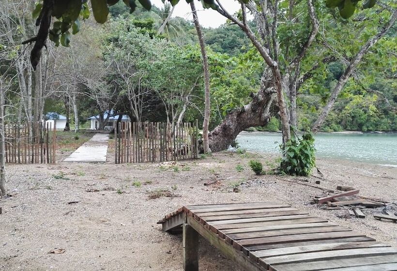 ホテル Tropical Eco Camping