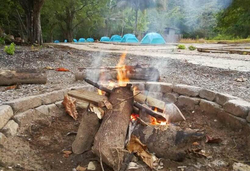 ホテル Tropical Eco Camping