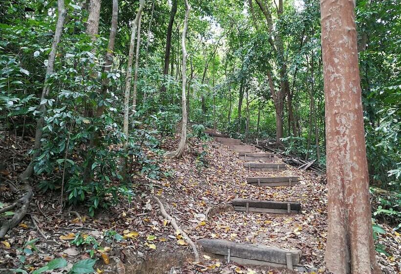 ホテル Tropical Eco Camping