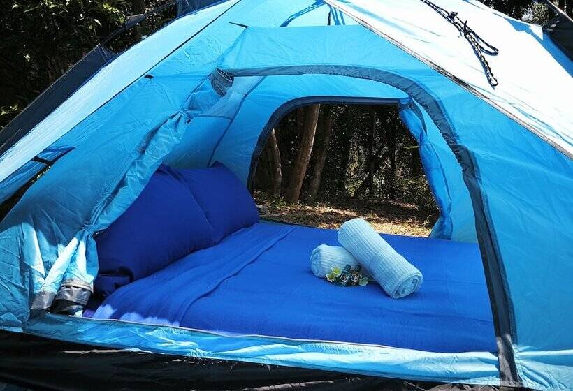 ホテル Tropical Eco Camping