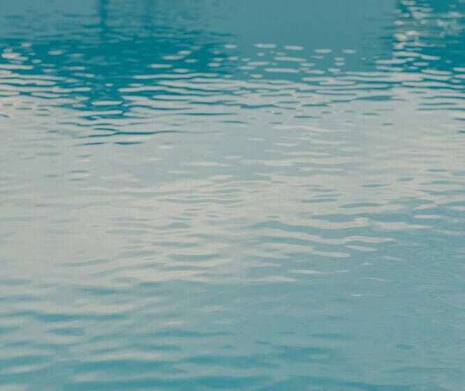 호텔 White Lily Suites & Lofts Adults Only 16 Plus