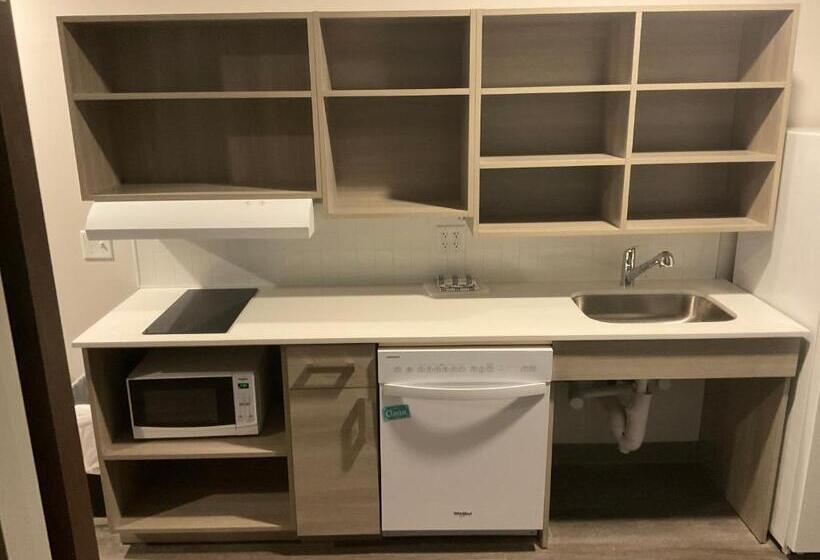 酒店 Woodspring Suites Wixom Novi