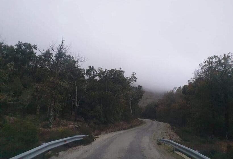 پانسیون Abou Hachem