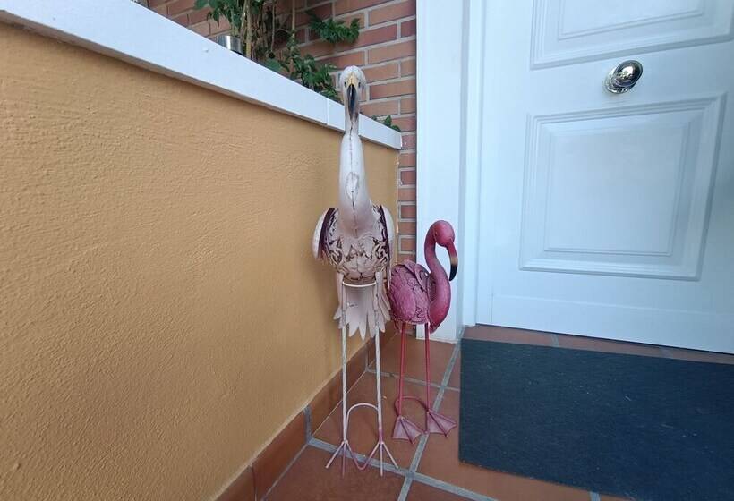 פנסיון Acogedora Y Familiar Casa En L Olleria