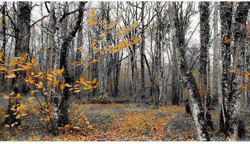 펜션 Auberge Du Lac Noir