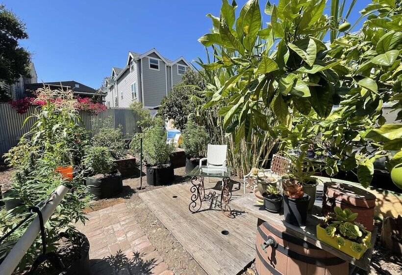 بنسيون B Love S Guest House