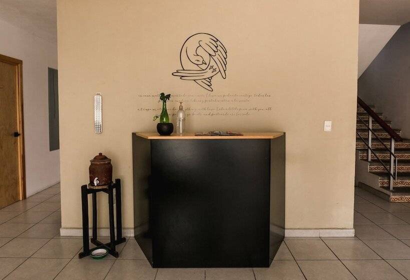 بنسيون Casa Matia