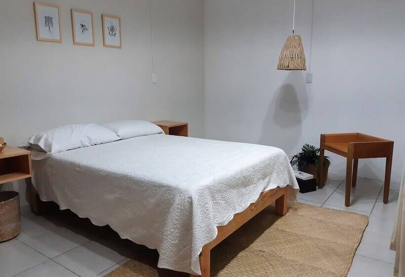 بنسيون Casa Matia