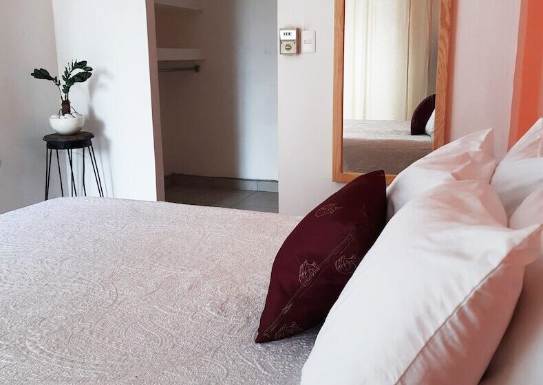 بنسيون Casa Matia