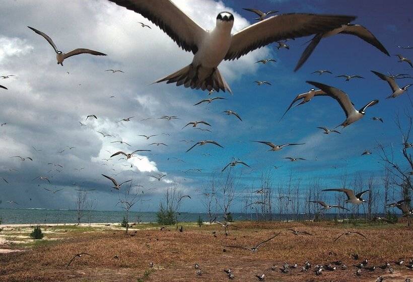 膳宿费 Domaine Les Rosiers Guest House