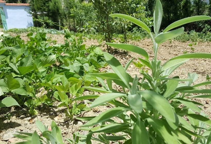 پانسیون Gîte Talassemtane